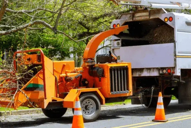 tree removal South Barrington il