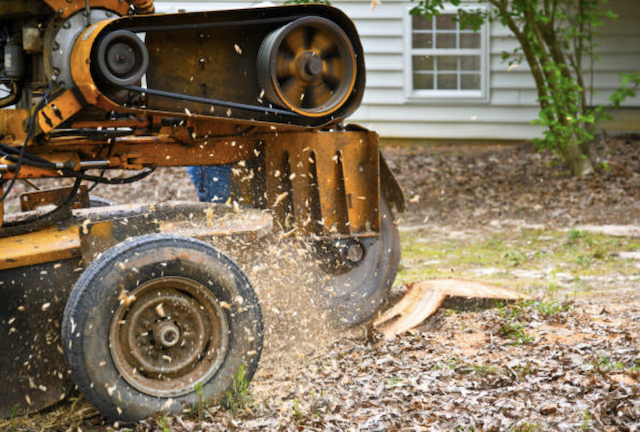 stump grinding cook il